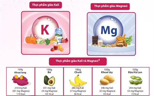 VAI TRÒ CỦA KALI VÀ MAGNESI VỚI SỨC KHỎE CON NGƯỜI